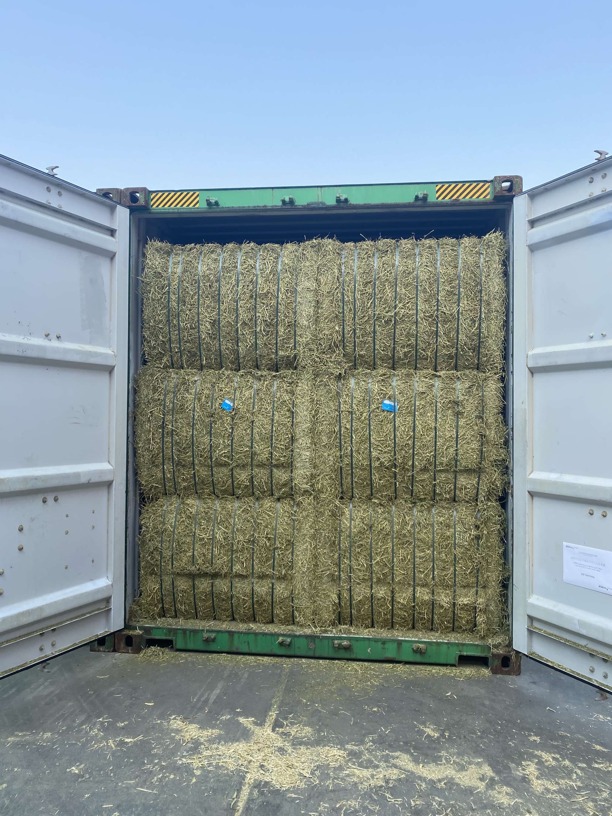 Pure alfalfa grass dry alfalfa Spain imported Seven Peaks Mountain alpaca farm special alpaca feed staple food 30 catties