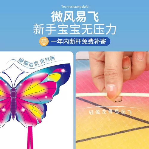 Воздушный змей с бабочкой, мультяшный китайский самолет для взрослых, орел, 2025 года, популярно в интернете