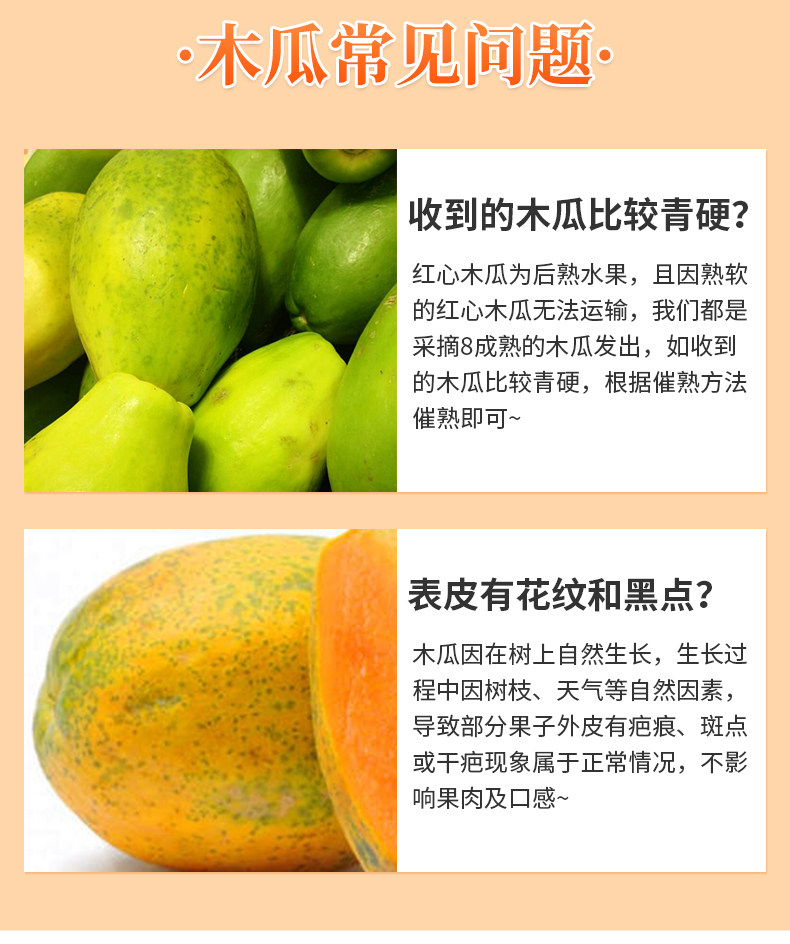 广西 红心牛奶木瓜 9斤装 约5-8个 图7