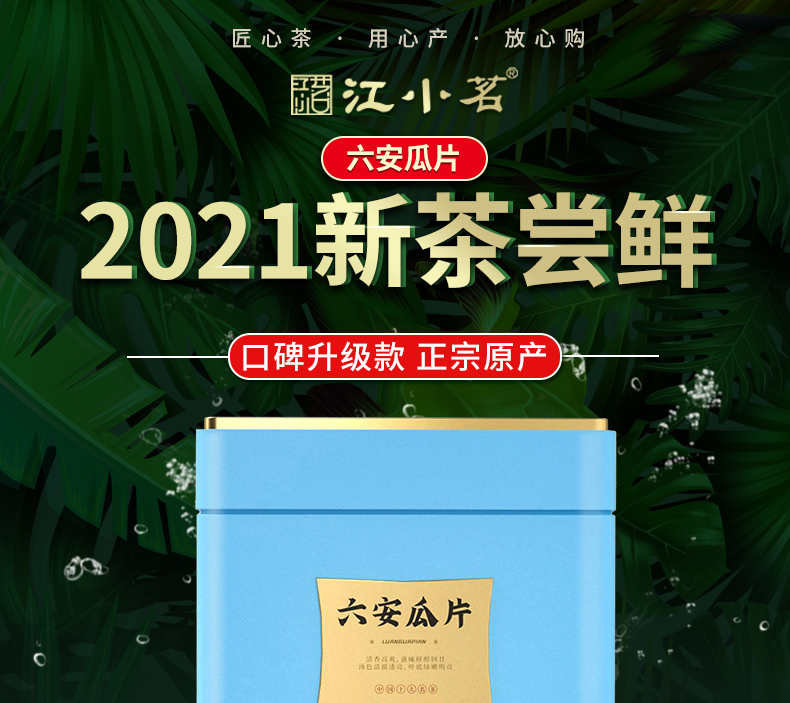 江小茗 21年雨前新茶 特级六安瓜片 250g/罐 图2