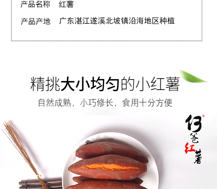 湛江名牌  何爸红薯 新鲜现挖沙地红心蜜薯 9斤盒装 图5