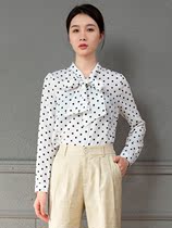 Long sleeve polo point chiffon shirt womens autumn New 2021 shirt design sense niche chic top temperament
