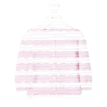 SIOLA childrens wear buttoned cardigan FARFETCH