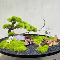 Hotel table flower immortal moss landscape ornaments large round table center decoration restaurant plate light luxury high-end sand table