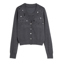 (Selection) ELLE Gray Gray Thin Wool Sweater Womens 2024 Autumn New French Fashion V-Neck