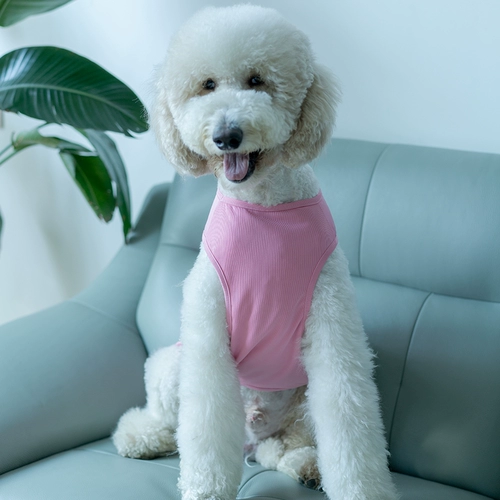 Многоцветный ледяной шелковый жилет с собаками в летнем лабрадоре Золотая кумулята