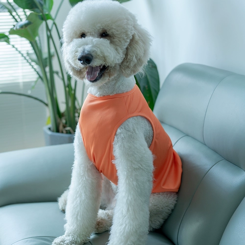 Многоцветный ледяной шелковый жилет с собаками в летнем лабрадоре Золотая кумулята