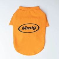 Оранжевая футболка, английские буквы