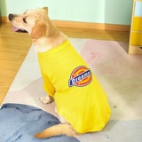 Tide Brand Labrador Одежда летние анти -хармоседые домашнее обслуживание