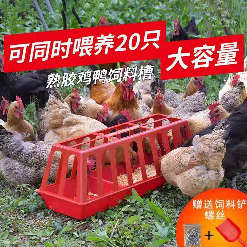 2022 new stamped chicken feeding trough rectangular feed barrel Chicken Feed Trough Feeding the Pheasant Feeding Machine Breeding Equipment