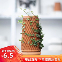 Pottery Bottle Plant Sloth Plant Sloth Pottery Basin Fixed Planting Indoor Tabletop Non-Watering Self-Absorbent Flower Pot Gift Water Seepage Pottery Jar