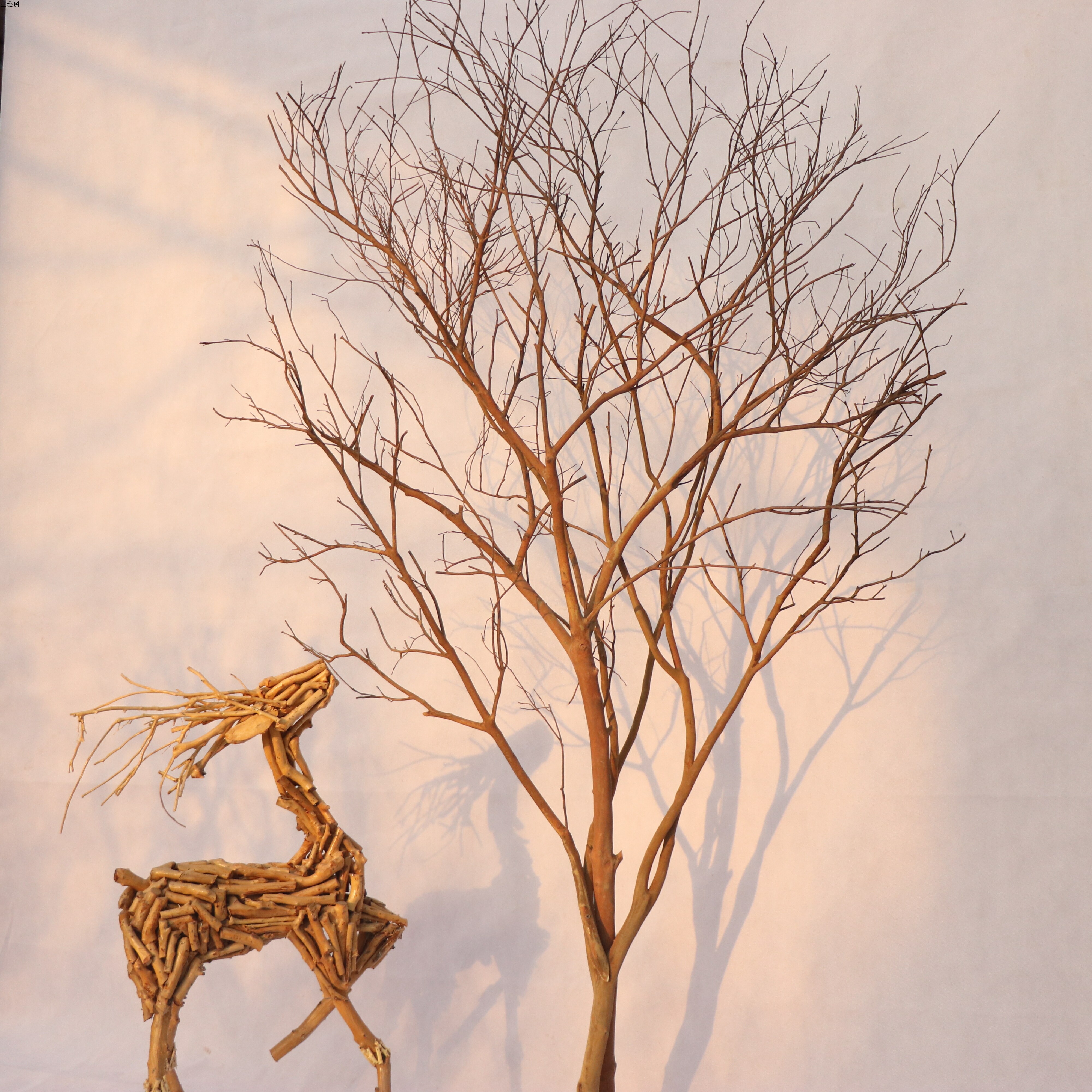 Dry Branches White Tree Branches Dried Branches of Dried Branches to Wish Tree Hotels Wedding shop Wedding Windows to build a home floor swinging piece-Taobao