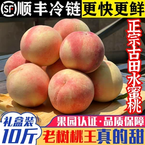 [正宗古田水蜜桃白凤桃福建脆甜大桃子当季新鲜水果礼盒装【精品】]