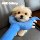 Игрушка-палочка Dog crusade, устойчивая к укусам, принадлежности для щенков, артефакт против скуки для домашних животных, забавная палочка для кошек, котенок потребляет физическую силу mini 3