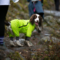 SMLIE BOMB dog jacket four-legged all-inclusive dog raincoat springer border collie medium and large dog dog clothes