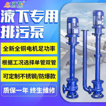 Vertical high temperature sub - liquid pump under liquid sewage pump without blocking the underliquid dual - tube sewage pump