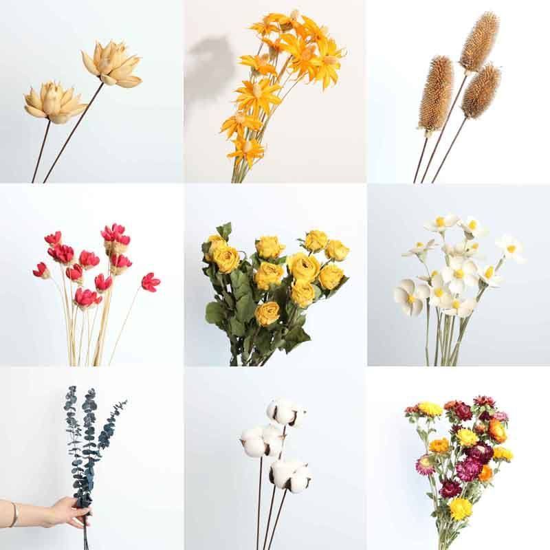 Dry flower bouquet rose dry flower Eucalyptus golden ball gypsophila net red ins home decoration living room DIY ornaments