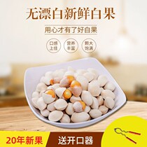 Fresh Ginkgo Ginkgo Fruit Pizhou Specialty Shelled Ginkgo Fruit Wild Ginkgo Fruit Recipe