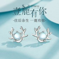 A deer has your S999 sterling silver stud female advanced earrings small and refined earrings 2021 New Tide