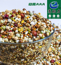 Race power pigeons without corn pigeons 3A pigeons feed pigeons military pigeons ornamental pigeons meat pigeons bird food 50kg