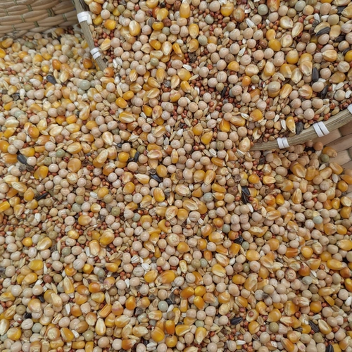 Sai Kuai Sai Jialong Голубиное зерно и кукурузное голубь голубь голубь голубь голубь пища 50 кот.