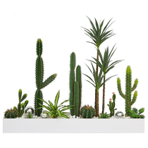 Simulated cactus landscaping indoor simulated green plants tropical plants fake trees landscape potted decorative ornaments under the stairs