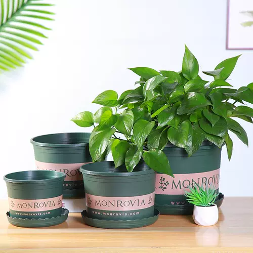 Короткий и жирный галлон горшок третьего поколения второго поколения Пластиковый цветочный горшок с утолщенным прочным смолой анти-коренной корень 2 Специальная цена 3 Черный