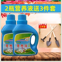 Маленький питательный раствор, комплект, 3 предмета