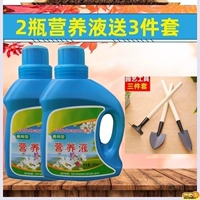 Питательный раствор, комплект, 3 шт