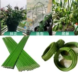 Странство с опорой денежных деревьев.