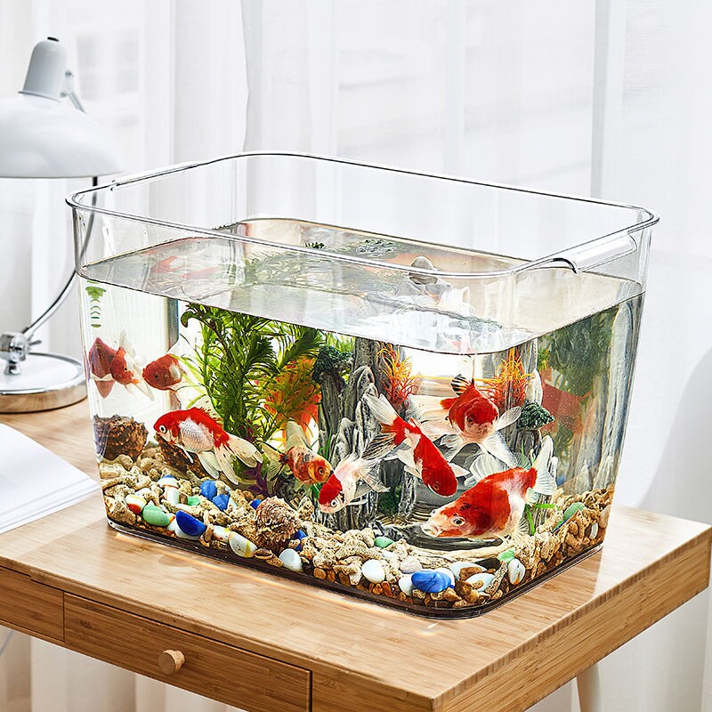 Hexagonal dinosaur fish fish tank desktop containing box transparent PET storage basket living-room small goldfish turtle cylinder