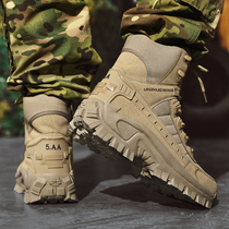 Lowa official flagship spring tactical boots American paratrooper outdoor mountaineering military training boots Martin boots mens high top