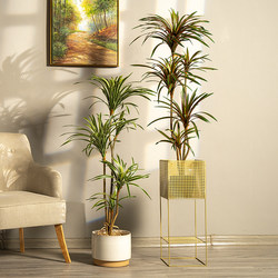 Artificial Colorful Horsetail Ironwood Dragon's Blood Tree Fake Tree Living Room Indoor Potted Green Plant Floor Decoration Ornament