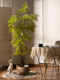 Artificial Green Plants, Realistic Ferns, Large Fern Trees, Indoor Living Room Decoration, Floor-Standing Landscaping, Fake Tree Potted Plants