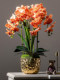 Simulated Phalaenopsis Orchid, Artificial Flower, High-End Floral Decoration for Living Room and Dining Table, Plastic Flower Arrangement, Artificial Flower Ornament
