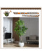 Large Bionic Jacaranda Indoor Decoration Fake Tree Artificial Green Plant Oil Orange Tree High-End Living Room Floor-Standing Ornament