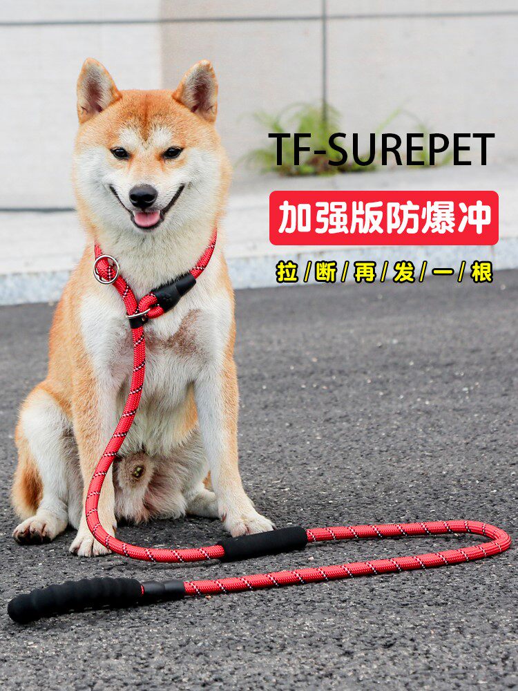 Walk Dog Rope P Chain P Rope In Large Canine Dog Traction Rope Dog Chain Training Dog Explosion gold wool Labrador Dog Rope