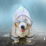 Петухолочный плащ