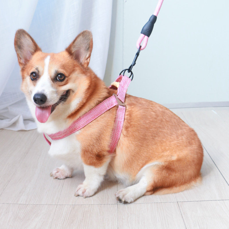 Pet dog chest strap traction rope dog rope collar explosion-proof punching anti-breakaway dog ​​walking small dog medium-sized dog Corgi