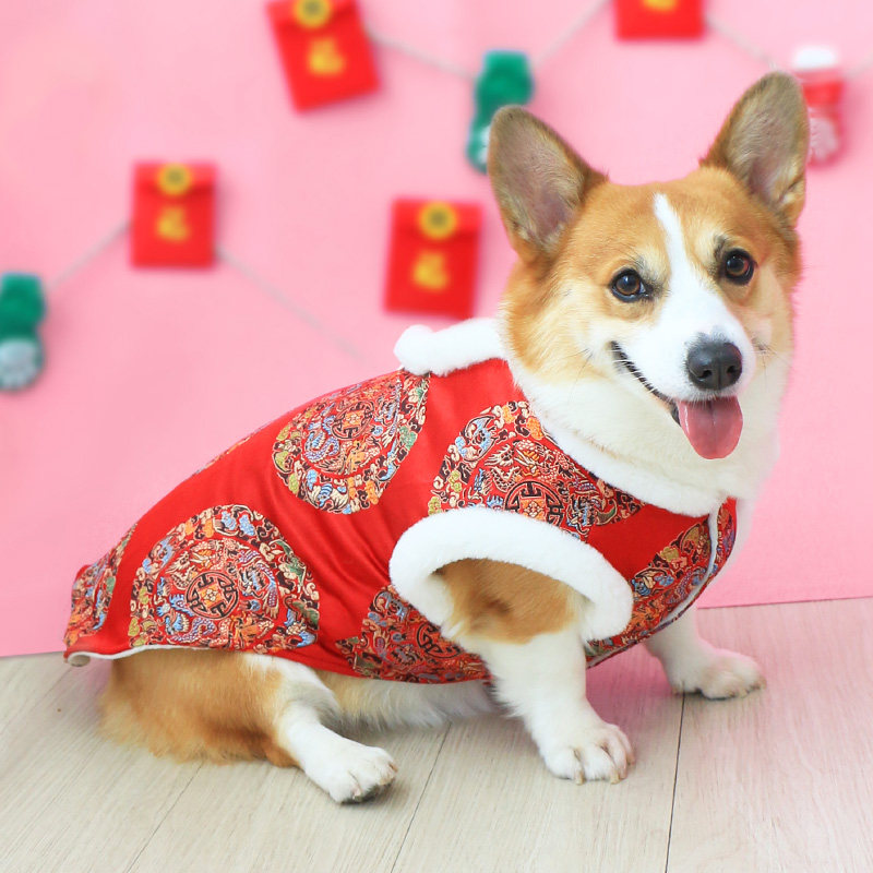 Pet dog New Year's clothes festive cheongsam 2021 new cotton Tang suit corgi vest style winter thick plus velvet tide