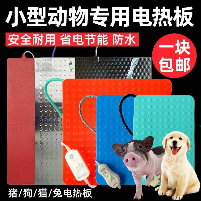 Electric plate heating switch heating switch heating pigs with pet insulation board piglets for small snake cat blankets