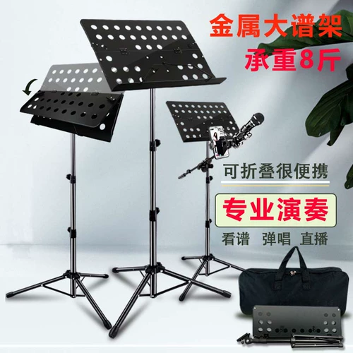 Складная гитара, профессиональная скрипка, чтение, микрофон