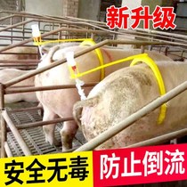 Pigs use artificial insemination tools to clip sow breeding tools to assist the automatic bracket of the livestock feeding bottle