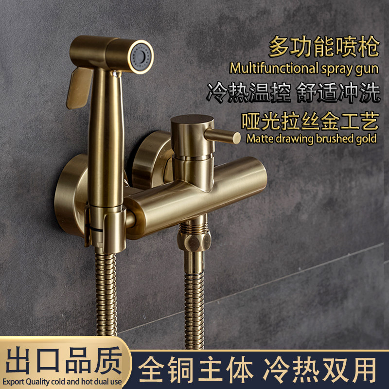 Eurostyle wire drawing gold hot and cold woman washers spray gun taps washing ass high pressure toilet dressing room to flush the god household