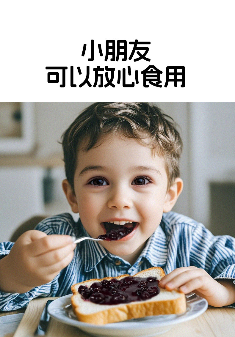 安享好物 安享A级果酱-百伯利纯熬 蓝莓果酱 企标 
