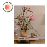 Swe Nordic Fan Рекомендация 丨 Шведская импортная рука