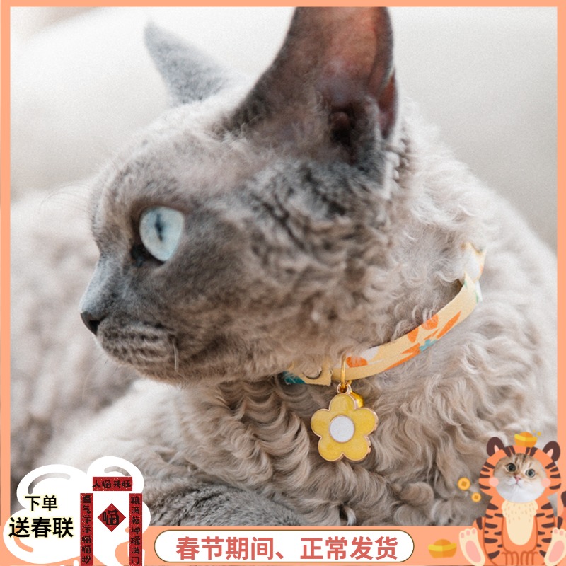 The little master put on the hand-made cat collar flower bell, which can be adjusted in size to take pictures.