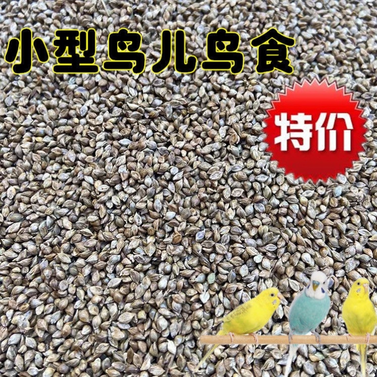 Bird food black tipped millet Niger grass seed chirping jade bird hibiscus bird golden green big golden hemp bird food 1 catty
