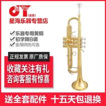 Golden Voice Trumpet Descending B-tone Beginner Child Adult Test Class Universal Instrument JYTR-E100G Lacquered Gold Brass