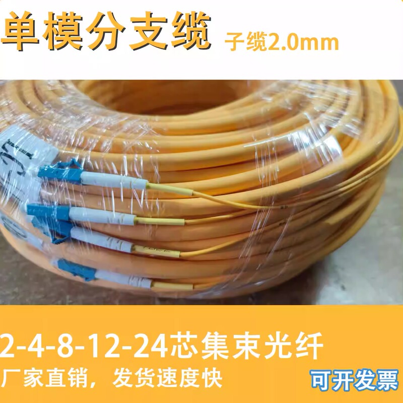 Branch Cable Single-Mode Bundled Fiber Optic Cable Indoor Fiber Jumper Tail Cable 4-Core 2.0 Sub-Cable Lc/Sc/Fc/St 12-Core 8 Branch Cable Single-Mode Bundled Fiber Optic Cable Indoor Fiber Jumper Tail Cable 4-Core 2.0 Sub-Cable Lc/Sc/Fc/St 12-Core 8